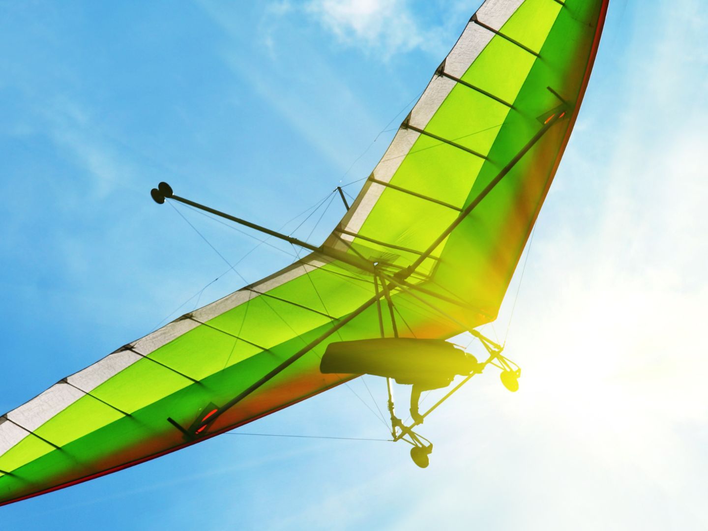 Nach wenigen Flugminuten stürzte der Wiener plötzlich ab. Nach wenigen Flugminuten stürzte der Wiener plötzlich ab.