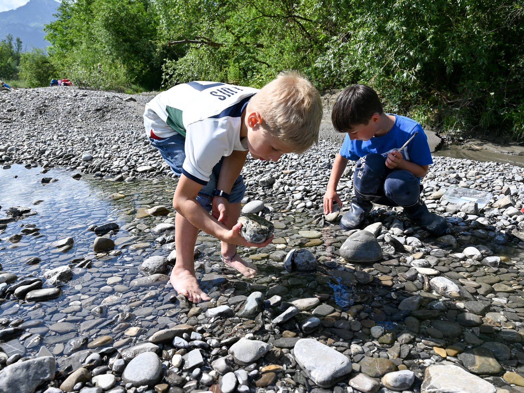 Volksschüler gingen auf die Suche nach kleinen Wasserlebewesen, die sich gerne unter den Steinen verstecken. Volksschüler gingen auf die Suche nach kleinen Wasserlebewesen, die sich gerne unter den Steinen verstecken.