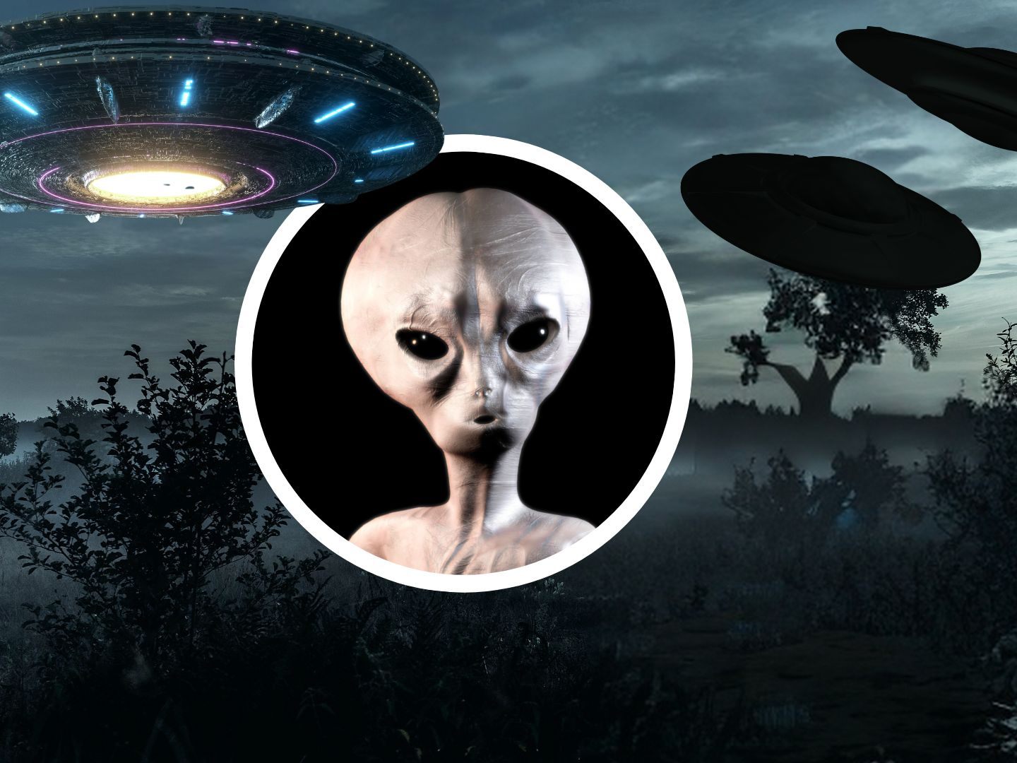 Sind Außerirdische Unter Uns? Harvard-Studie Öffnet Neue Perspektiven