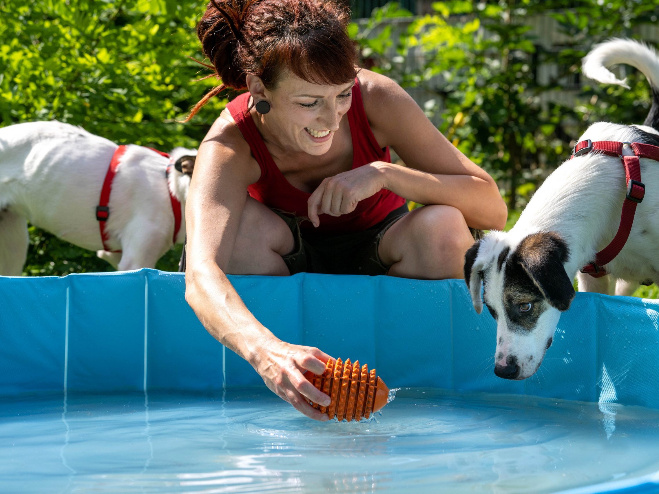 Schnauze voll von der Hitze? Dann ab in die "Dog Zone".