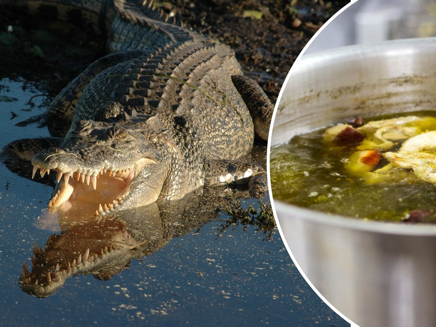 Terror-Kroko endete als Festmahl im Suppentopf. (Symbolbild) Terror-Kroko endete als Festmahl im Suppentopf. (Symbolbild)