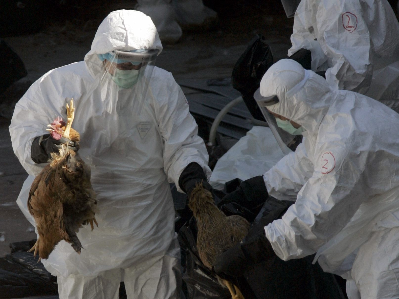 Der weltweit erste Tod eines Menschen durch Vogelgrippe H5N2 wurde gemeldet.