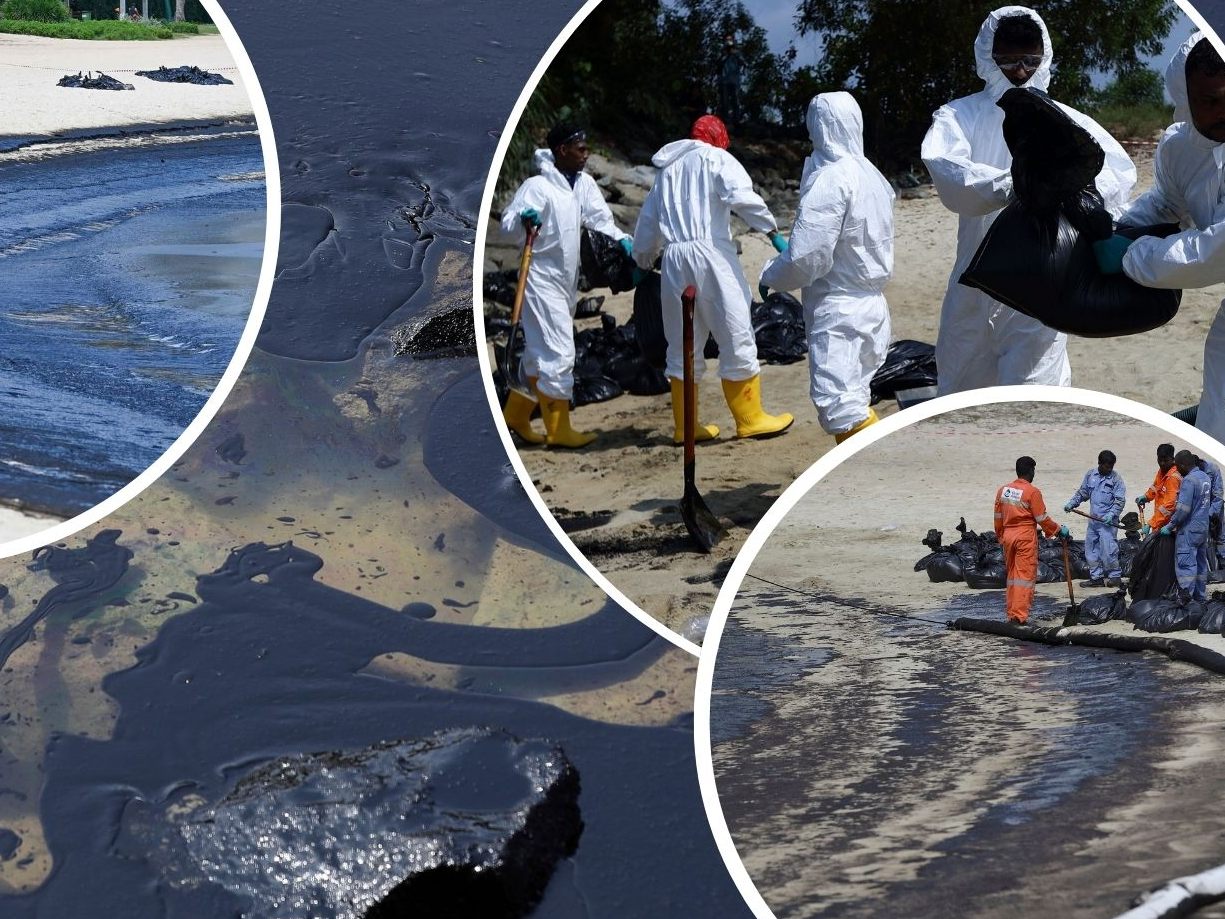 Nach einer Kollision zweier Schiffe vor Singapur kämpfen die Behörden des asiatischen Stadtstaates gegen eine massive Ölpest, die mittlerweile die Strände von Sentosa Island erreicht hat. Nach einer Kollision zweier Schiffe vor Singapur kämpfen die Behörden des asiatischen Stadtstaates gegen eine massive Ölpest, die mittlerweile die Strände von Sentosa Island erreicht hat.