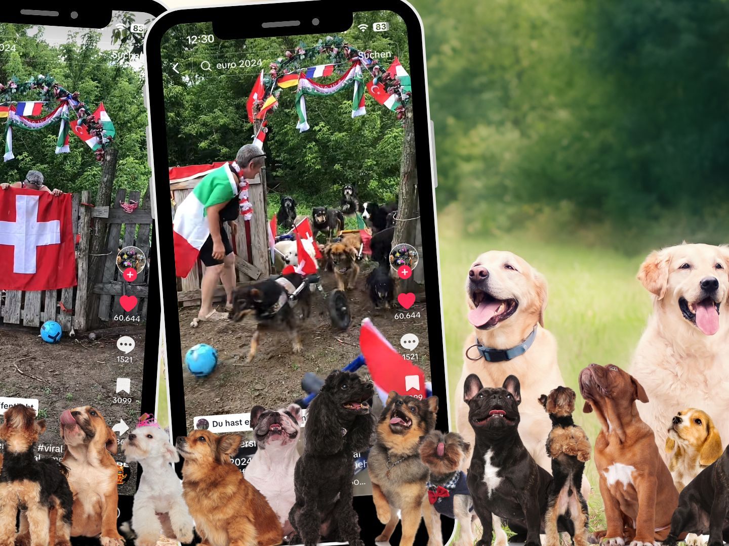 Auf einer Hunde-Ranch haben die Betreiber ein besonderes Event zur Feier der UEFA Euro organisiert. Auf einer Hunde-Ranch haben die Betreiber ein besonderes Event zur Feier der UEFA Euro organisiert.