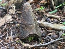 Im Klosterwald bei Wien wurde Kriegsmaterial entdeckt. Im Klosterwald bei Wien wurde Kriegsmaterial entdeckt.