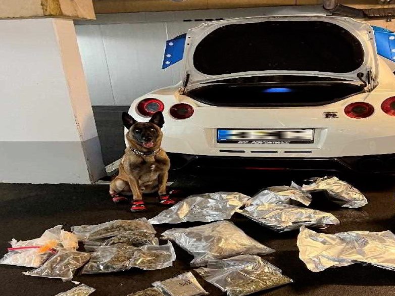 Zahlreiche Drogen wurden bei Hausdurchsuchungen sichergestellt.
