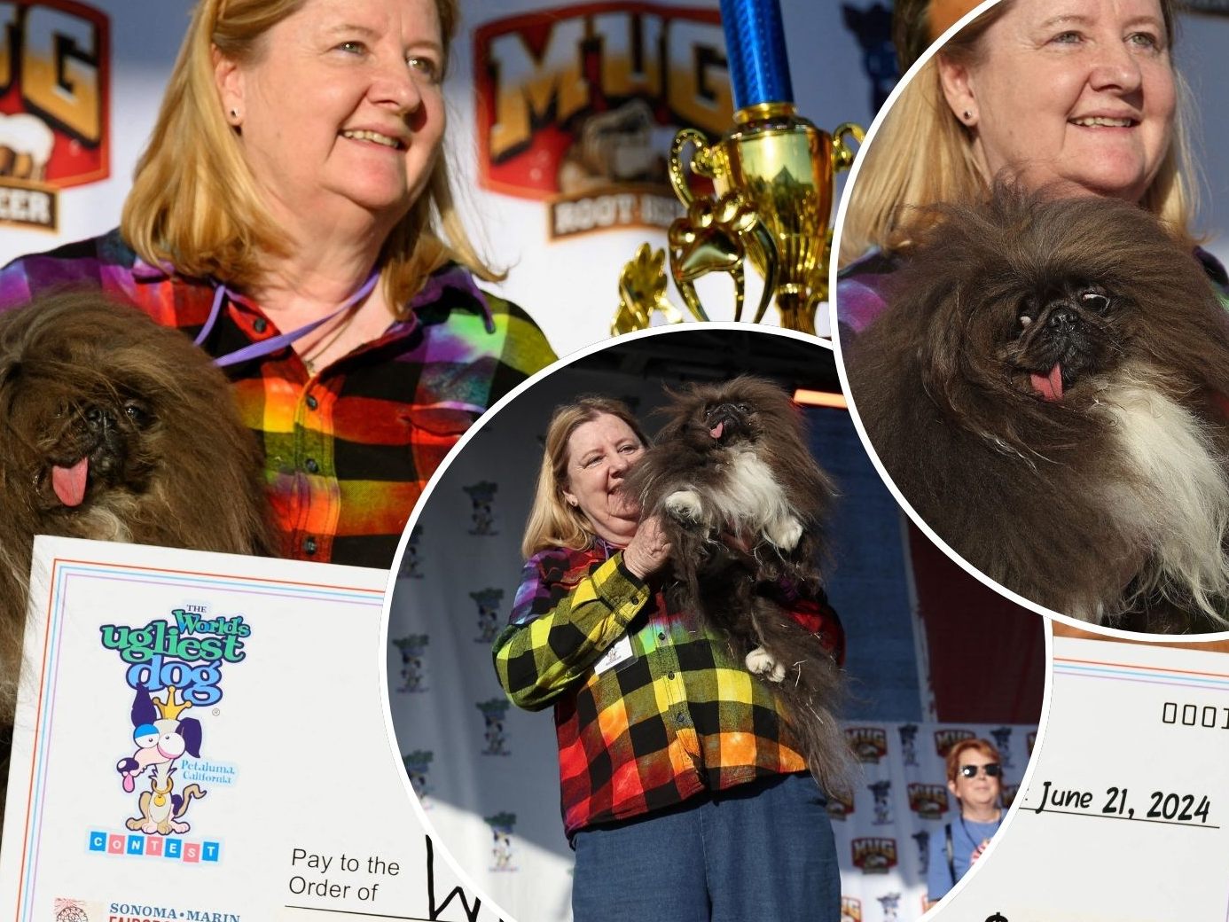 Wild abstehende grau-braun-weiße Haare und eine schief heraushängende Zunge: Ein Pekinese namens "Wild Thang" ist zum "hässlichsten Hund der Welt" gekürt worden. Wild abstehende grau-braun-weiße Haare und eine schief heraushängende Zunge: Ein Pekinese namens "Wild Thang" ist zum "hässlichsten Hund der Welt" gekürt worden.