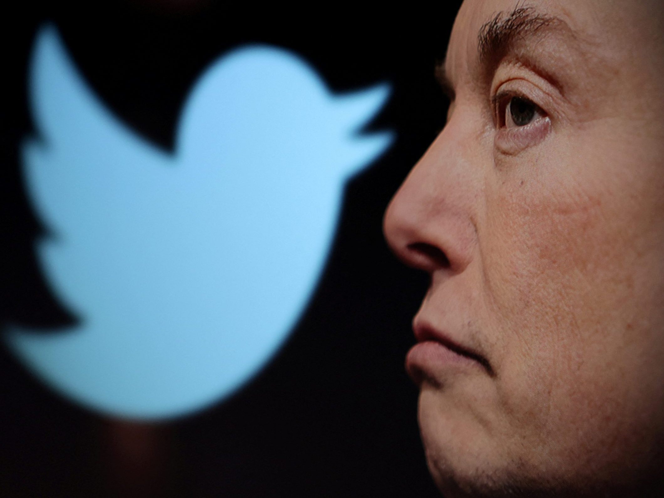 Elon Musks Twitter-Nachfolger droht nach einer EU-Untersuchung: eine hohe Geldstrafe.
