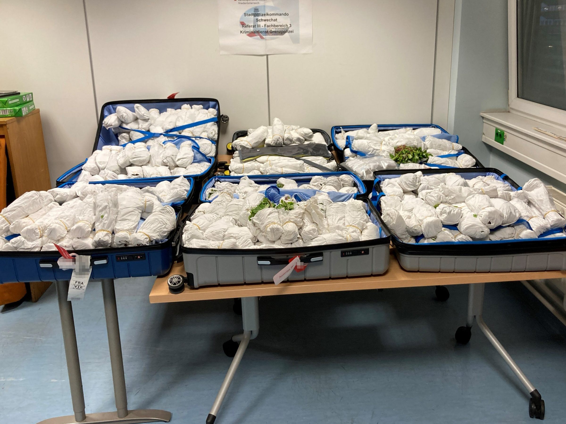 In Österreich unterliegt Khat dem Suchtmittelgesetz.