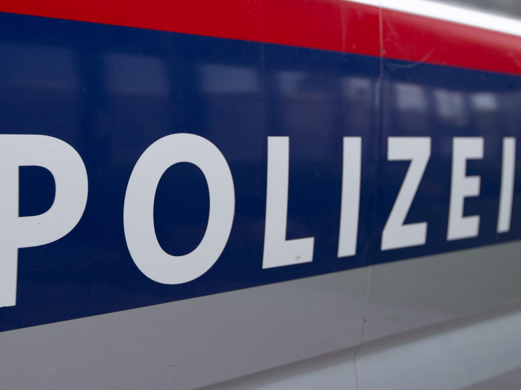 Die Wiener Polizei verhaftete den Verdächtigen. Die Wiener Polizei verhaftete den Verdächtigen.