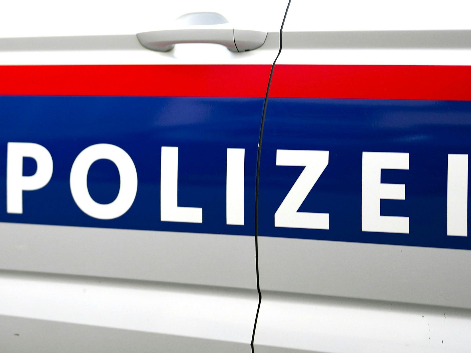 Die Hauptverdächtige konnte mittlerweile festgenommen werden. Die Hauptverdächtige konnte mittlerweile festgenommen werden.