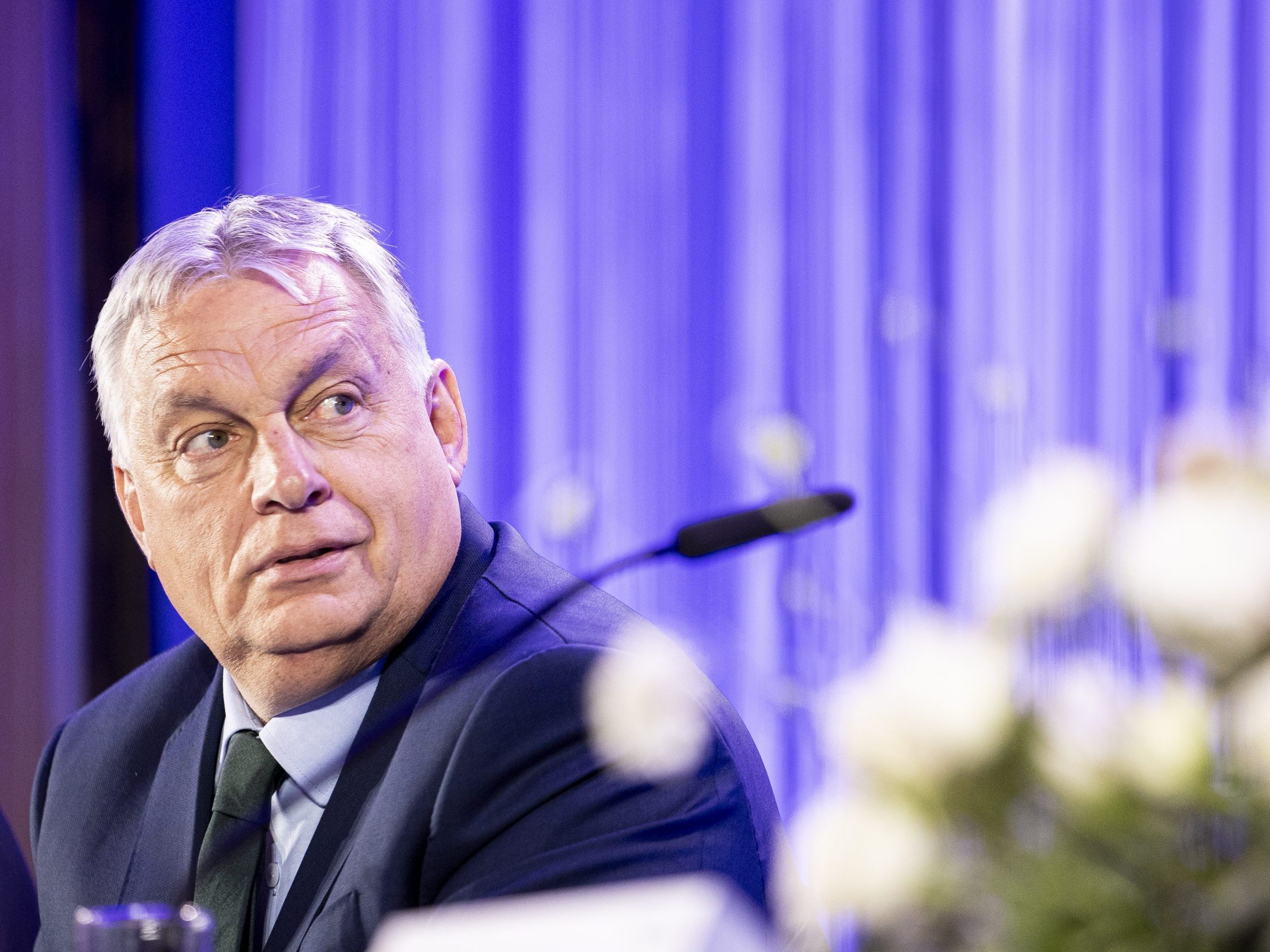 Orbán, Kickl sowie Babis hatten die "Patrioten für Europa" ins Leben gerufen. Orbán, Kickl sowie Babis hatten die "Patrioten für Europa" ins Leben gerufen.