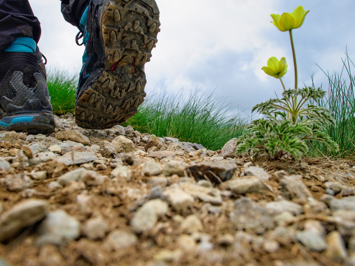 Das Duo blieb unverletzt.