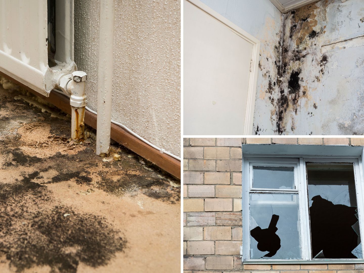 Mieter werden mit übelsten Methoden aus ihrer Wohnung geekelt. Mieter werden mit übelsten Methoden aus ihrer Wohnung geekelt.
