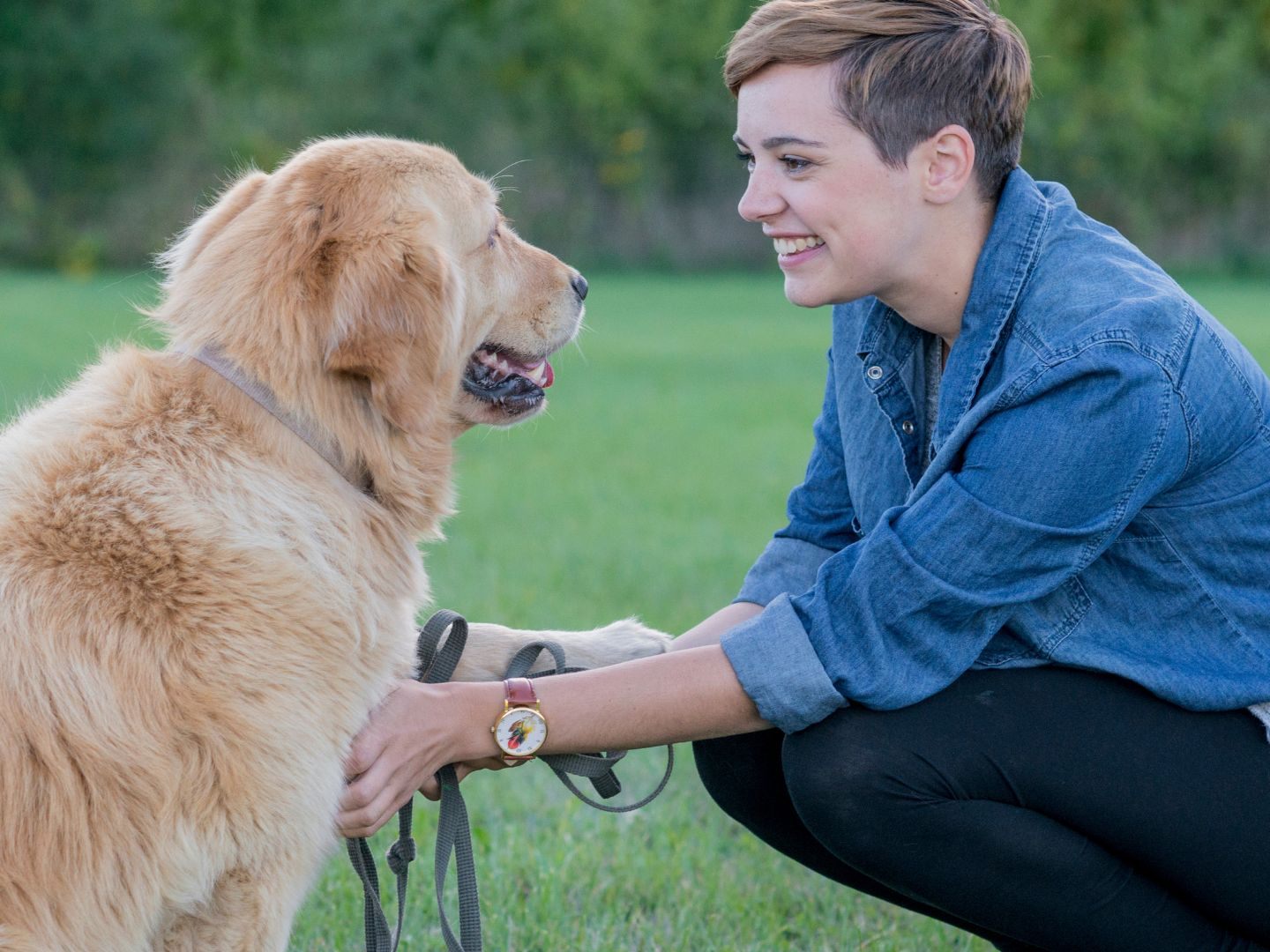 Hundehalter in Wien müssen seit fünf Jahren einen Pflichtkurs besuchen.