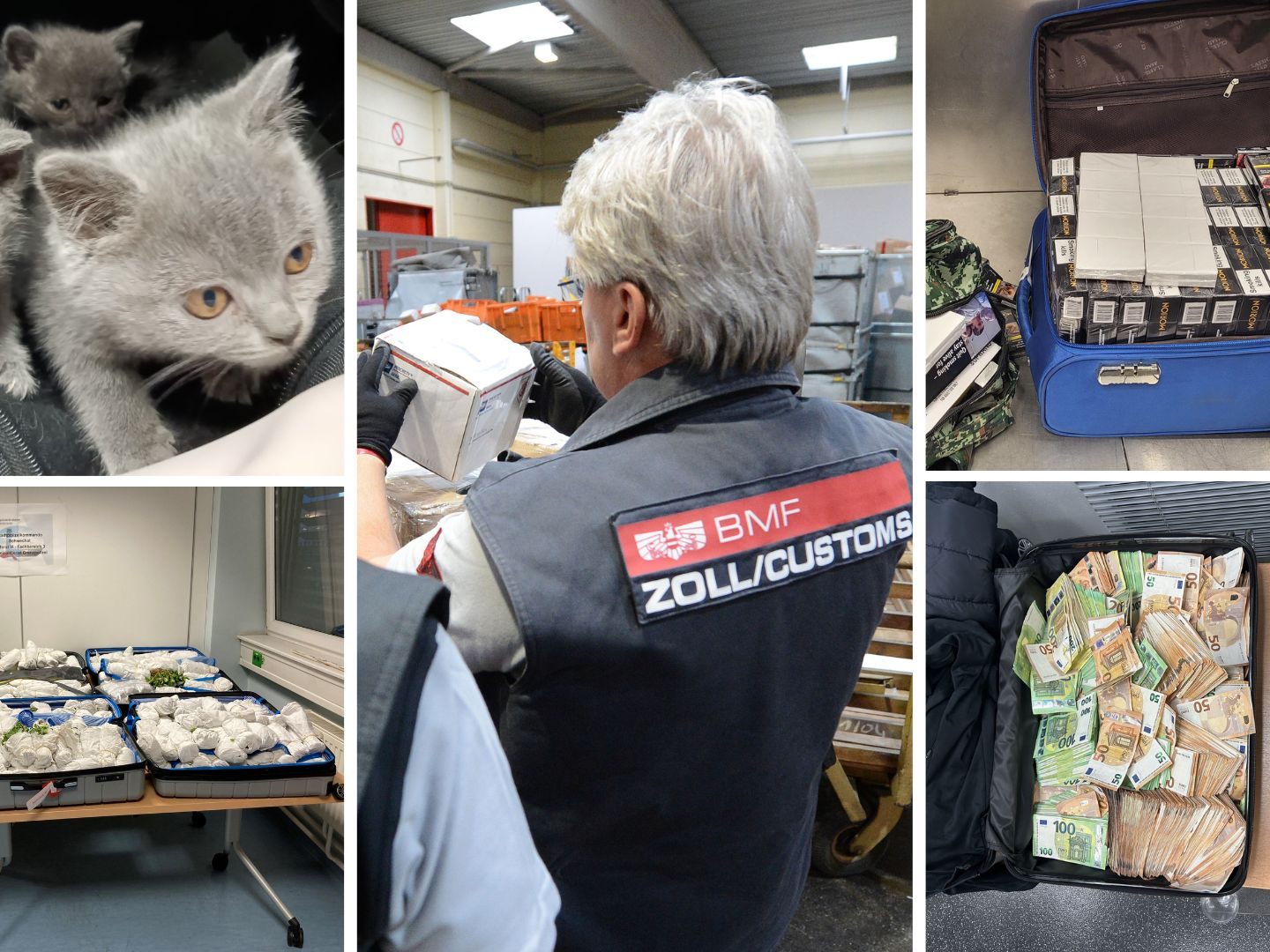 Bei fast 21.000 Zoll-Kontrollen wurden über 120 Kilo Drogen und 1,2 Mio. Euro nicht angemeldetes Bargeld gefunden.
