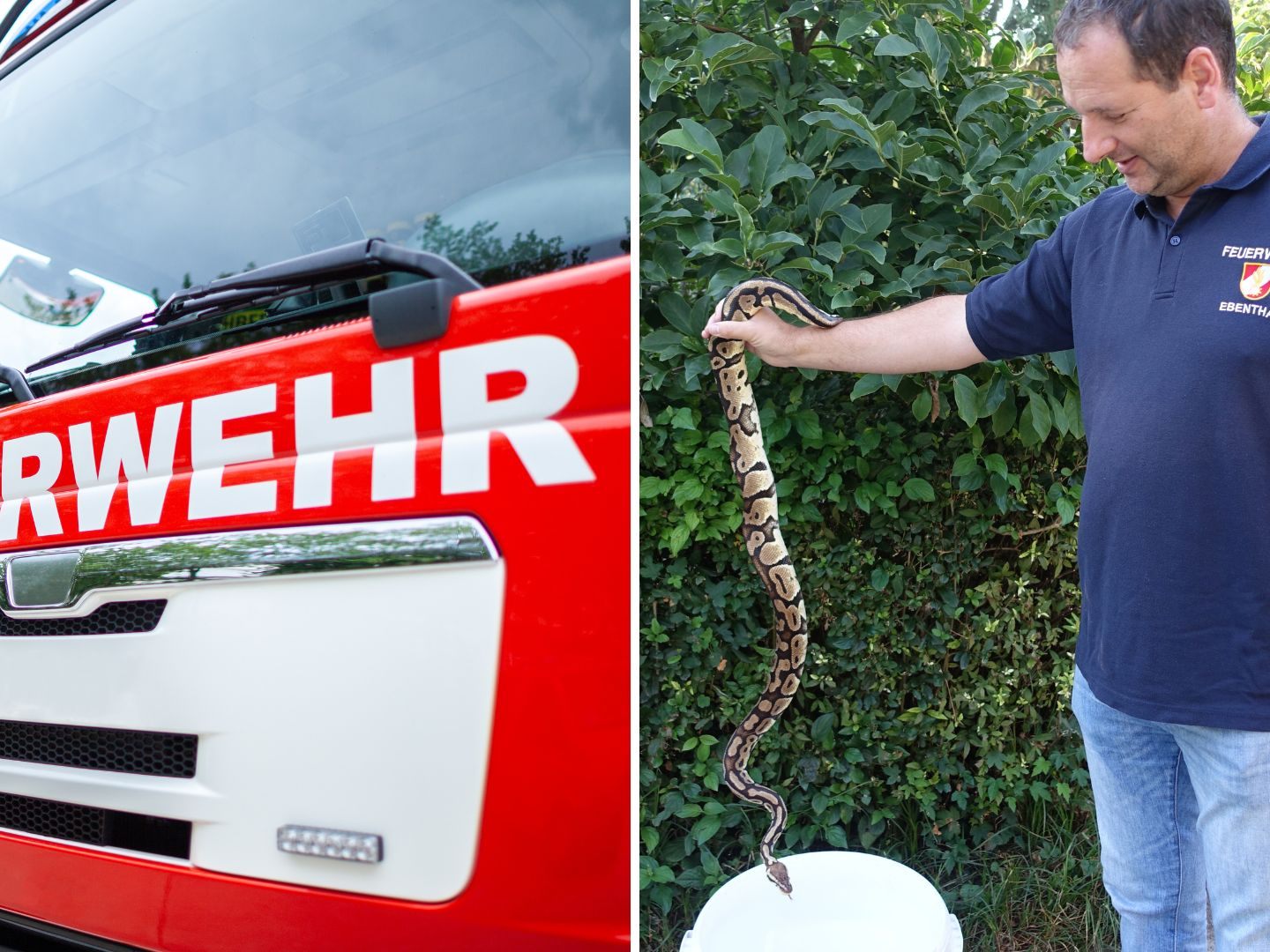 Die Feuerwehr fing die Schlange ein.
