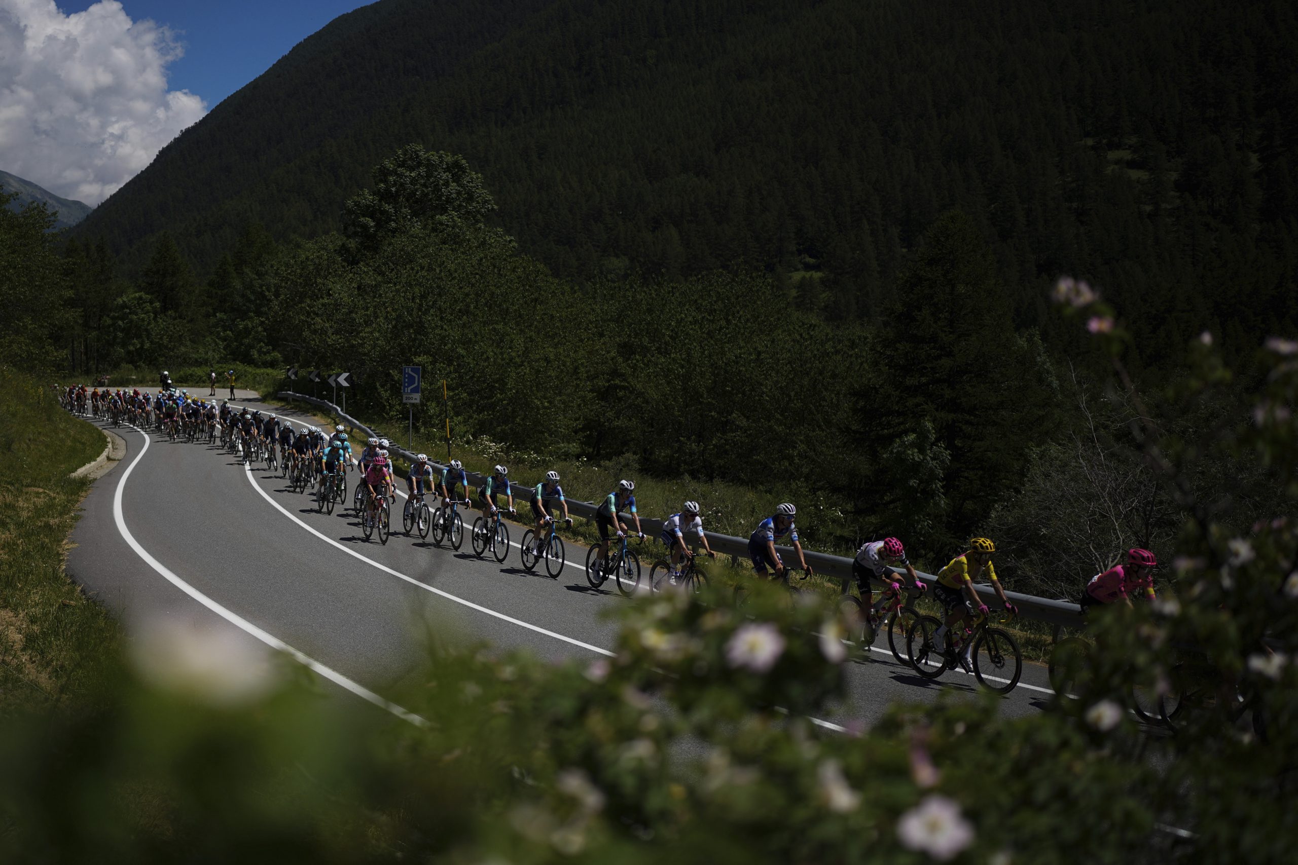 Cycling Tour de France