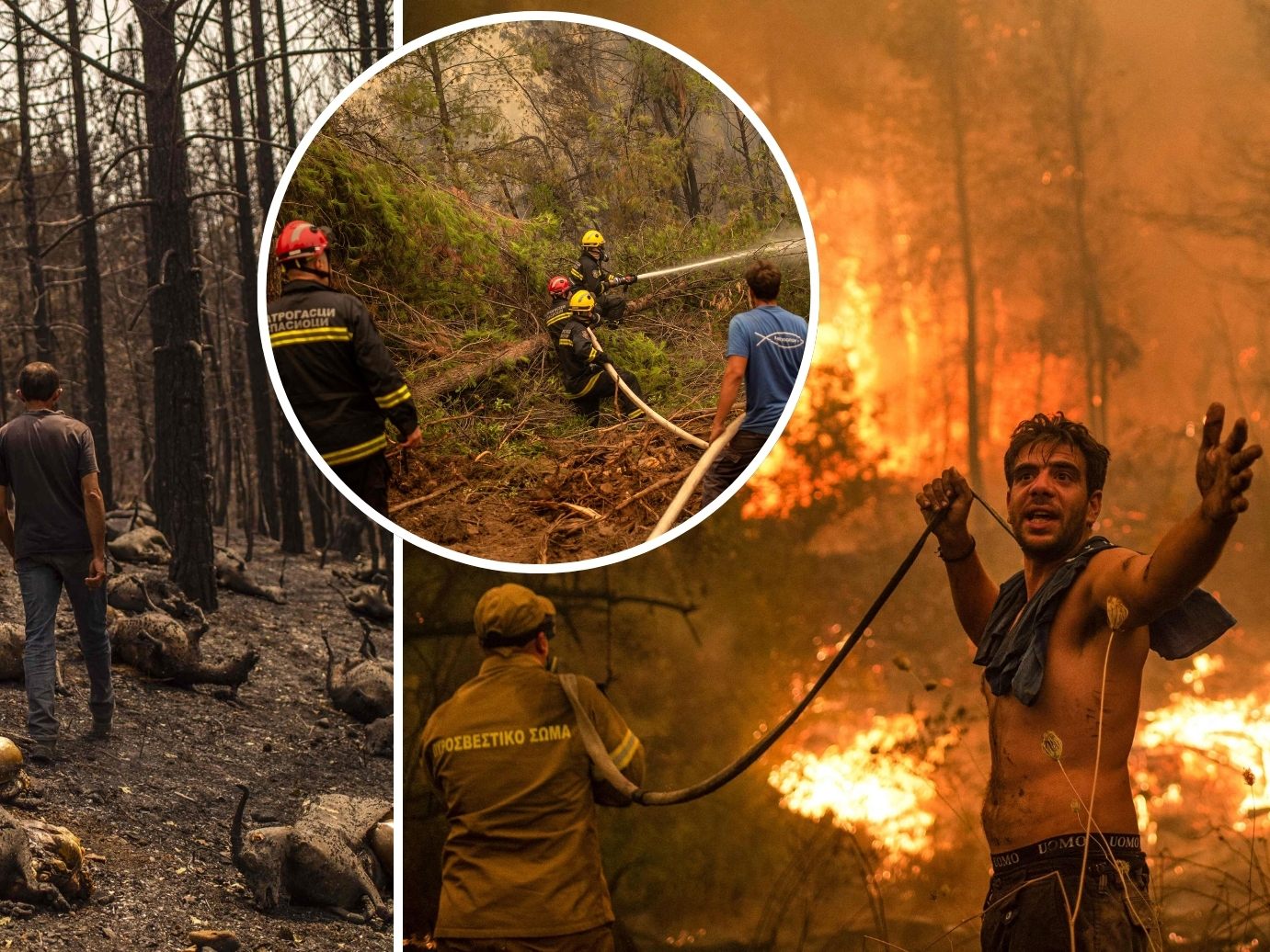 Waldbrand auf griechischer Insel Euböa
