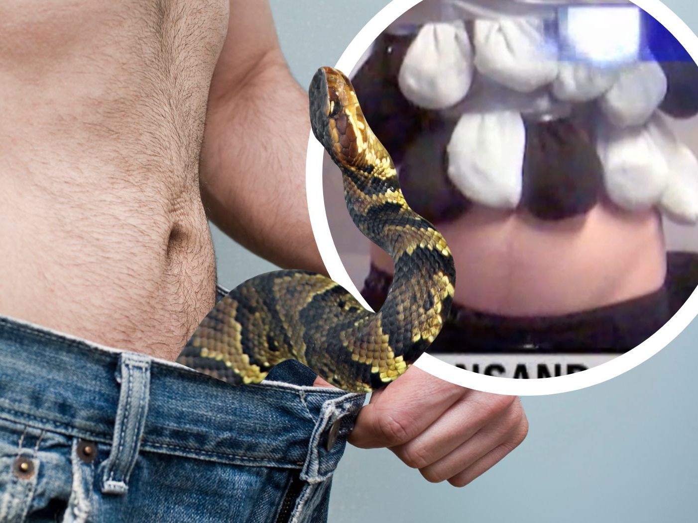 Versuchter Schlangenschmuggel in Hose: Mann in China mit 106 Tieren aufgegriffen Versuchter Schlangenschmuggel in Hose: Mann in China mit 106 Tieren aufgegriffen