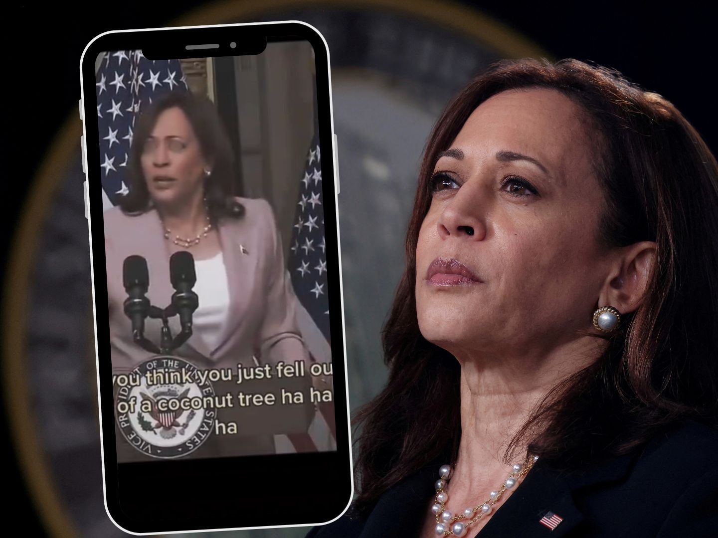 Die Geschichte hinter Kamala Harris' Kokospalmen-Meme und ihre politische Bedeutung