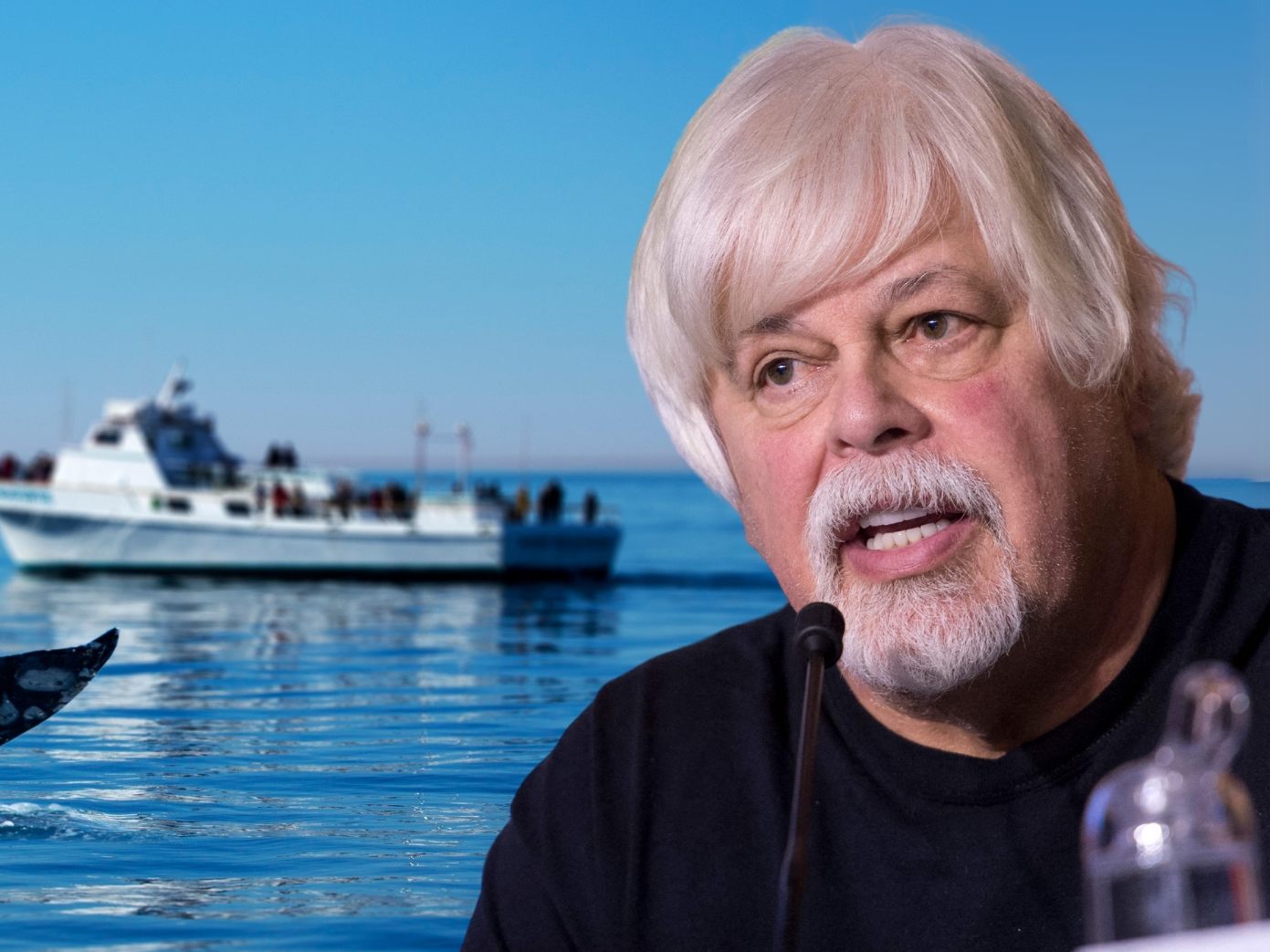 Umweltaktivist Paul Watson wird in Grönland festgenommen Umweltaktivist Paul Watson wird in Grönland festgenommen