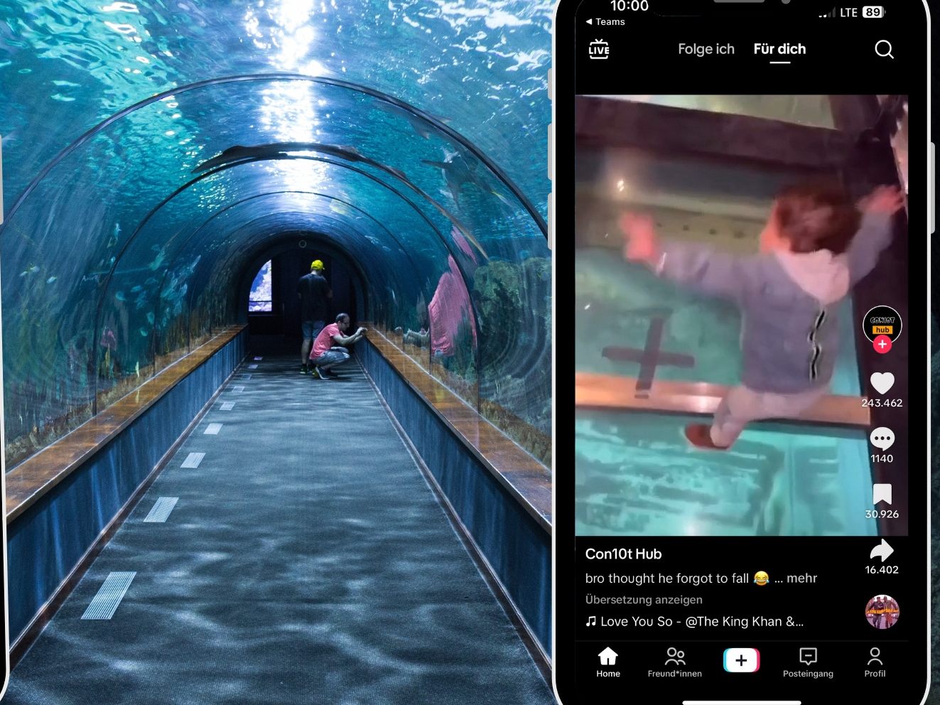 Erschreckender Moment: Kind entdeckt Glasboden über Aquarium Erschreckender Moment: Kind entdeckt Glasboden über Aquarium