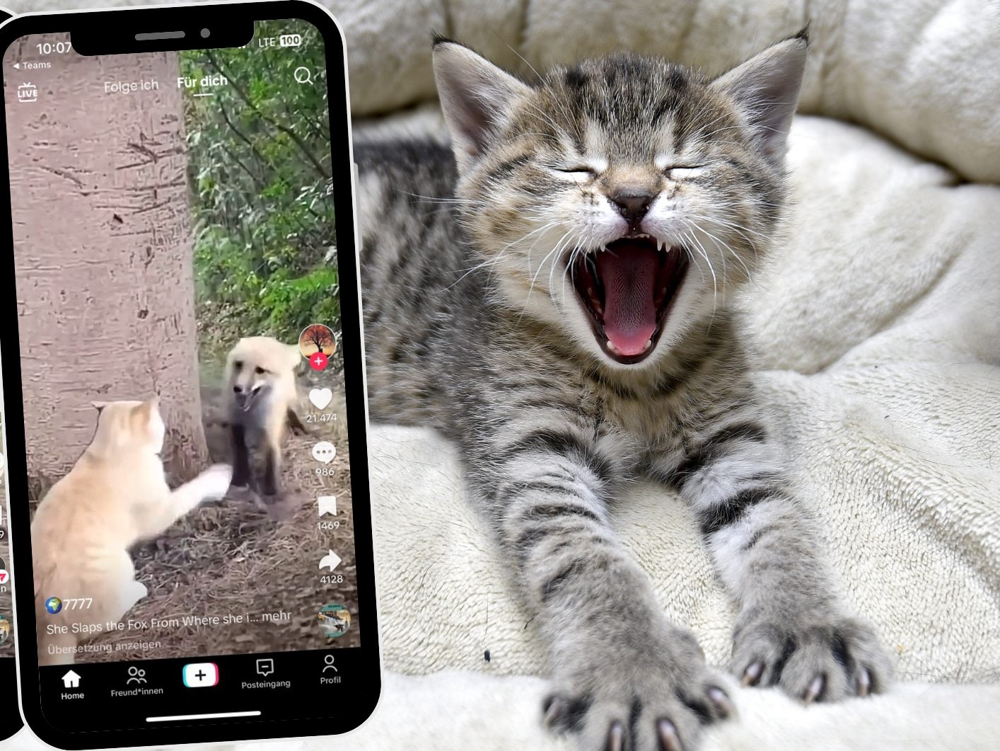 APA , @helen7777helen / TikTok , Canva (Symbolbild) APA , @helen7777helen / TikTok , Canva (Symbolbild)