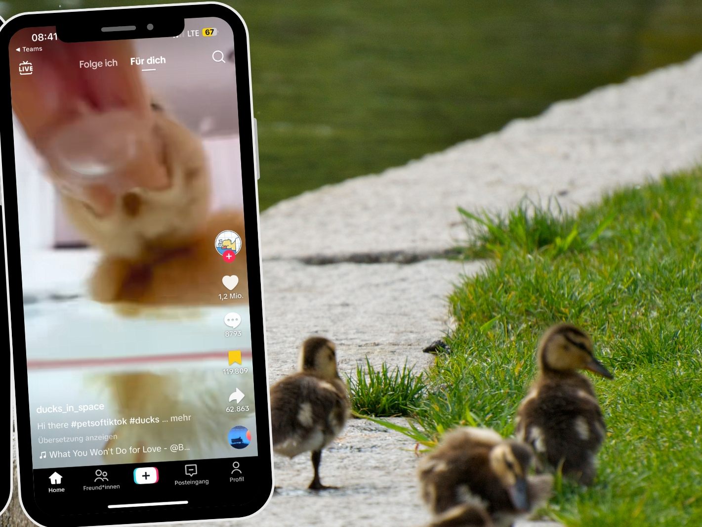 Canva (Symbolbild; @ducks_in_space/TikTok Canva (Symbolbild; @ducks_in_space/TikTok