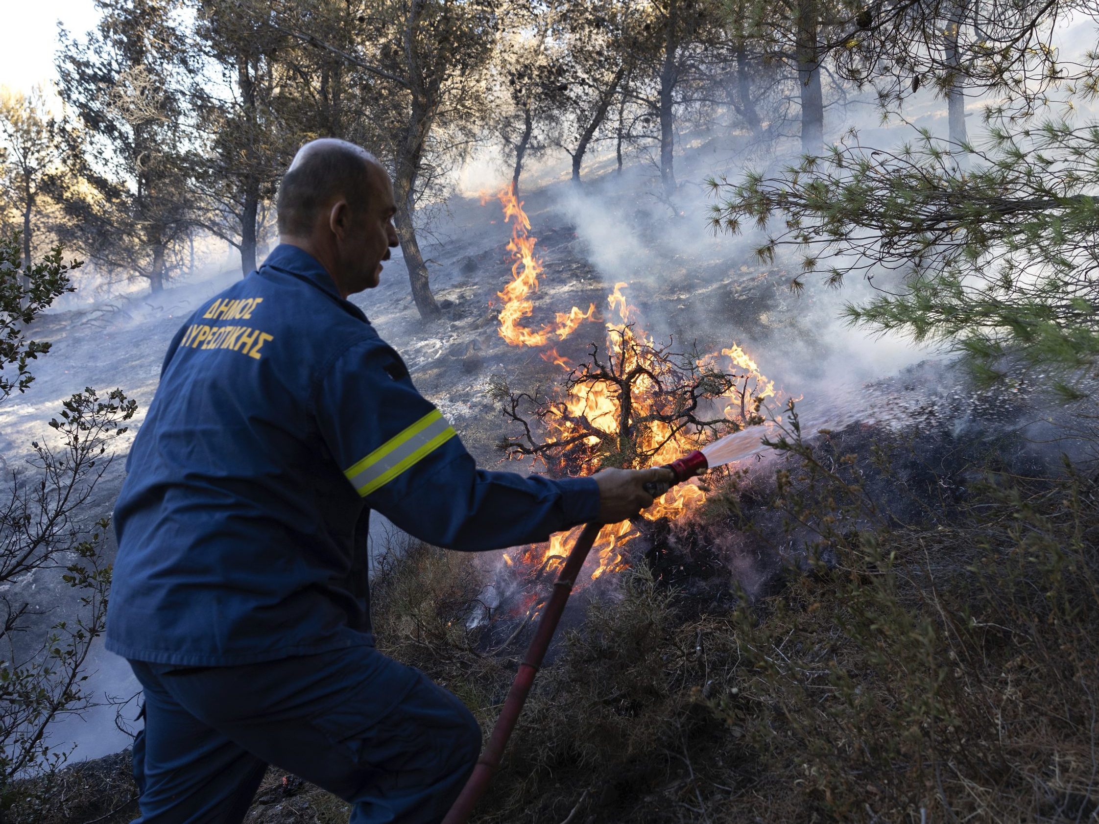 Der Brand von Euböa ist nur einer von mehr als 50 Bränden, die binnen 24 Stunden in Griechenland ausgebrochen waren.