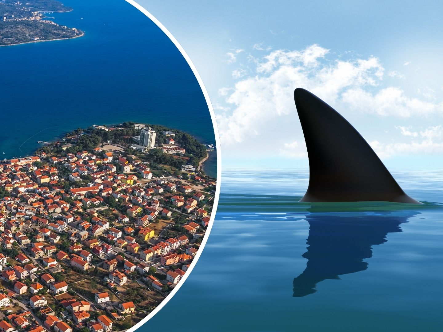 Haiflossen in Vodice gesichtet: Badegäste in Aufregung. (Symbolbild)