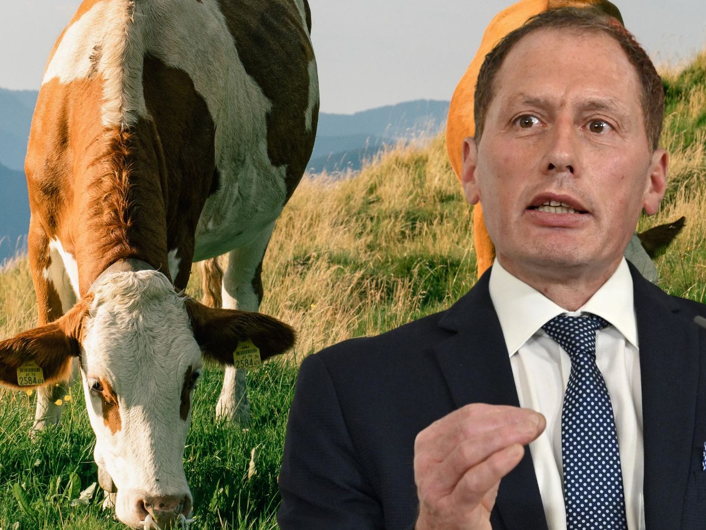 Für den Erhalt der Kulturlandschaft im alpinen Bereich