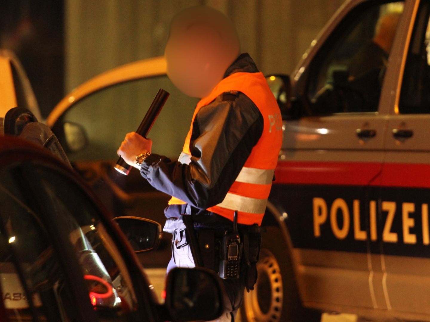 Der Autodieb ist der Vorarlberger Autobahnpolizei ins Netz gegangen. Der Autodieb ist der Vorarlberger Autobahnpolizei ins Netz gegangen.