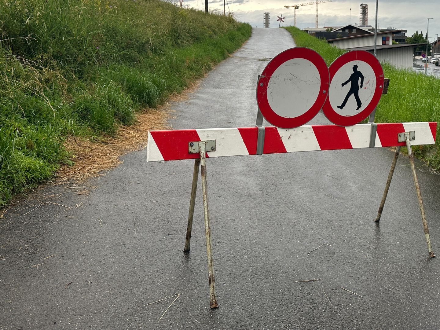Rheinvorländer von Lustenau bis zur Rheinmündung vorsorglich gesperrt