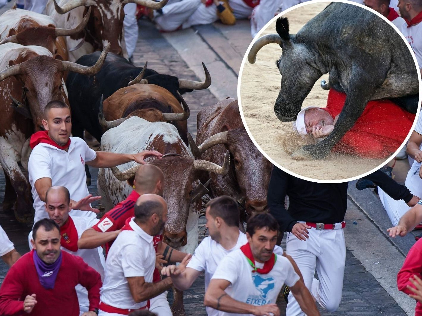 Verletzte Menschen und Tiere bei zweiter Stierhatz in Pamplona. Verletzte Menschen und Tiere bei zweiter Stierhatz in Pamplona.