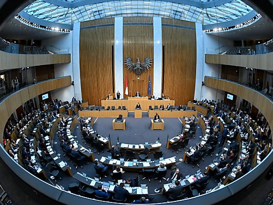 Die 183 Abgeordneten im Nationalrat werden bald neu gewählt. Die 183 Abgeordneten im Nationalrat werden bald neu gewählt.