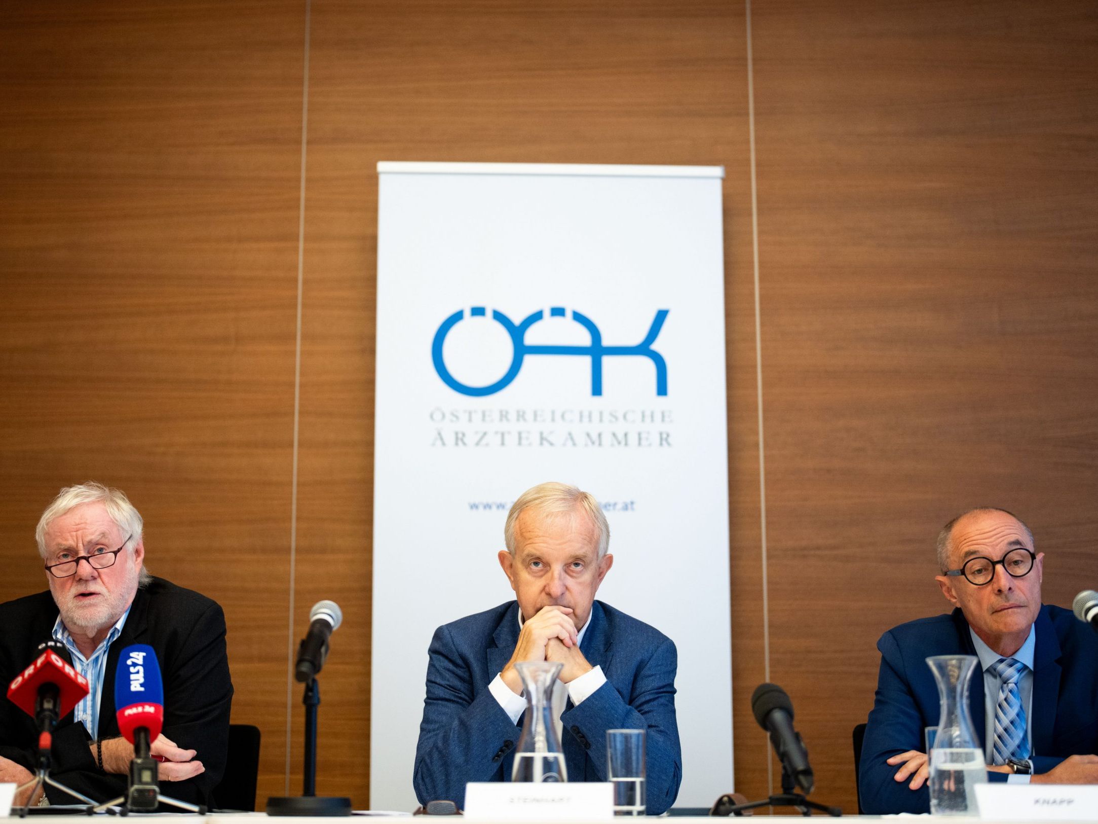 Präsentation des "Regierungsprogramms" zur Rettung des Gesundheitsbereichs.
