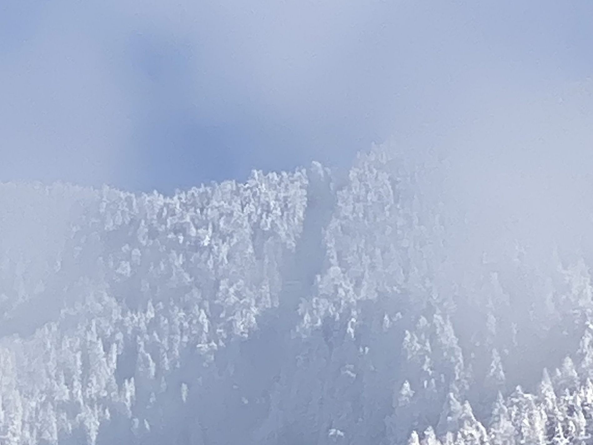 Der Gondelabsturz war "nicht verhinderbar".