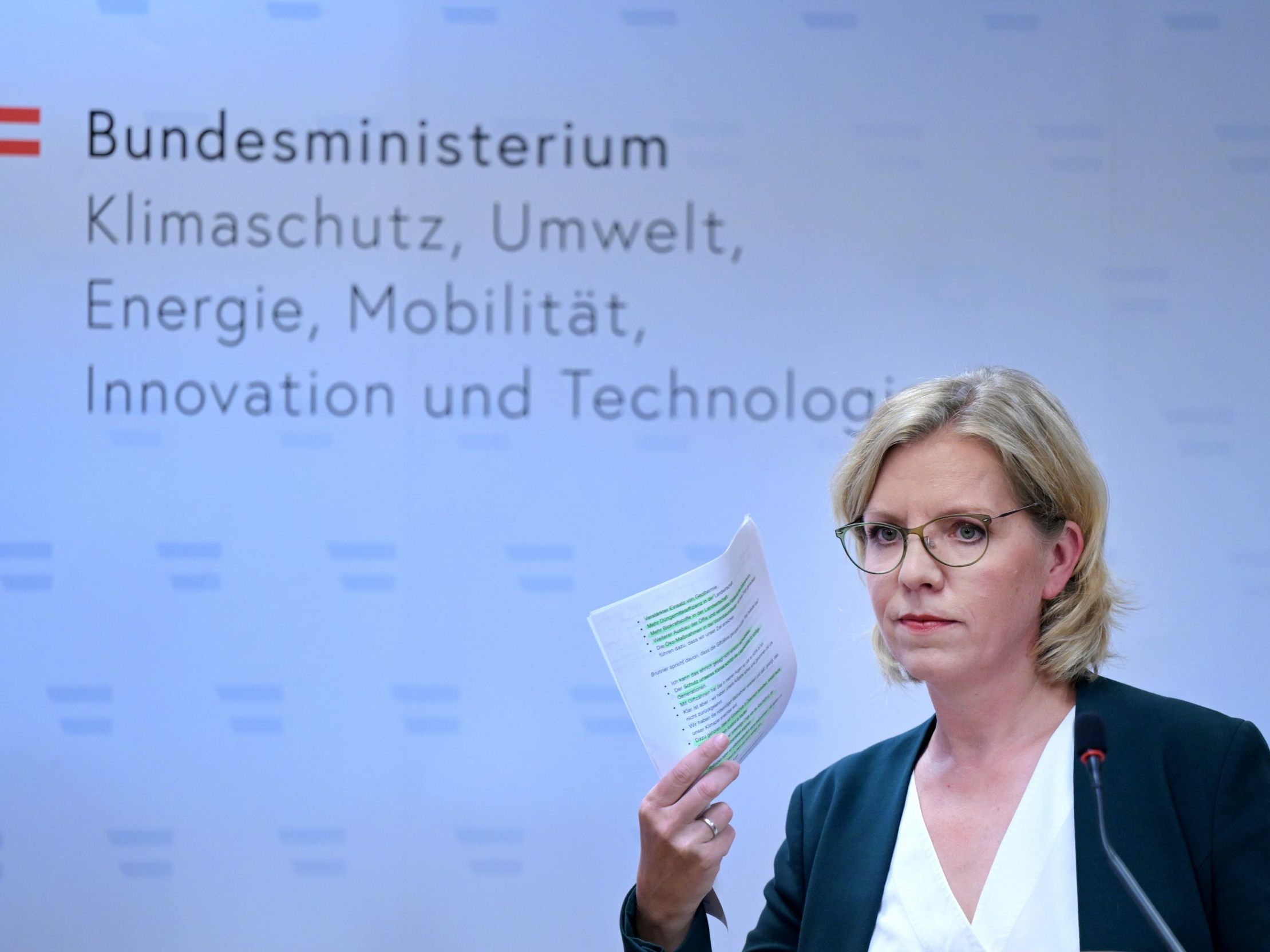 Die Grünen wollen den neuen Gesetzesentwurf noch im September durchbringen.