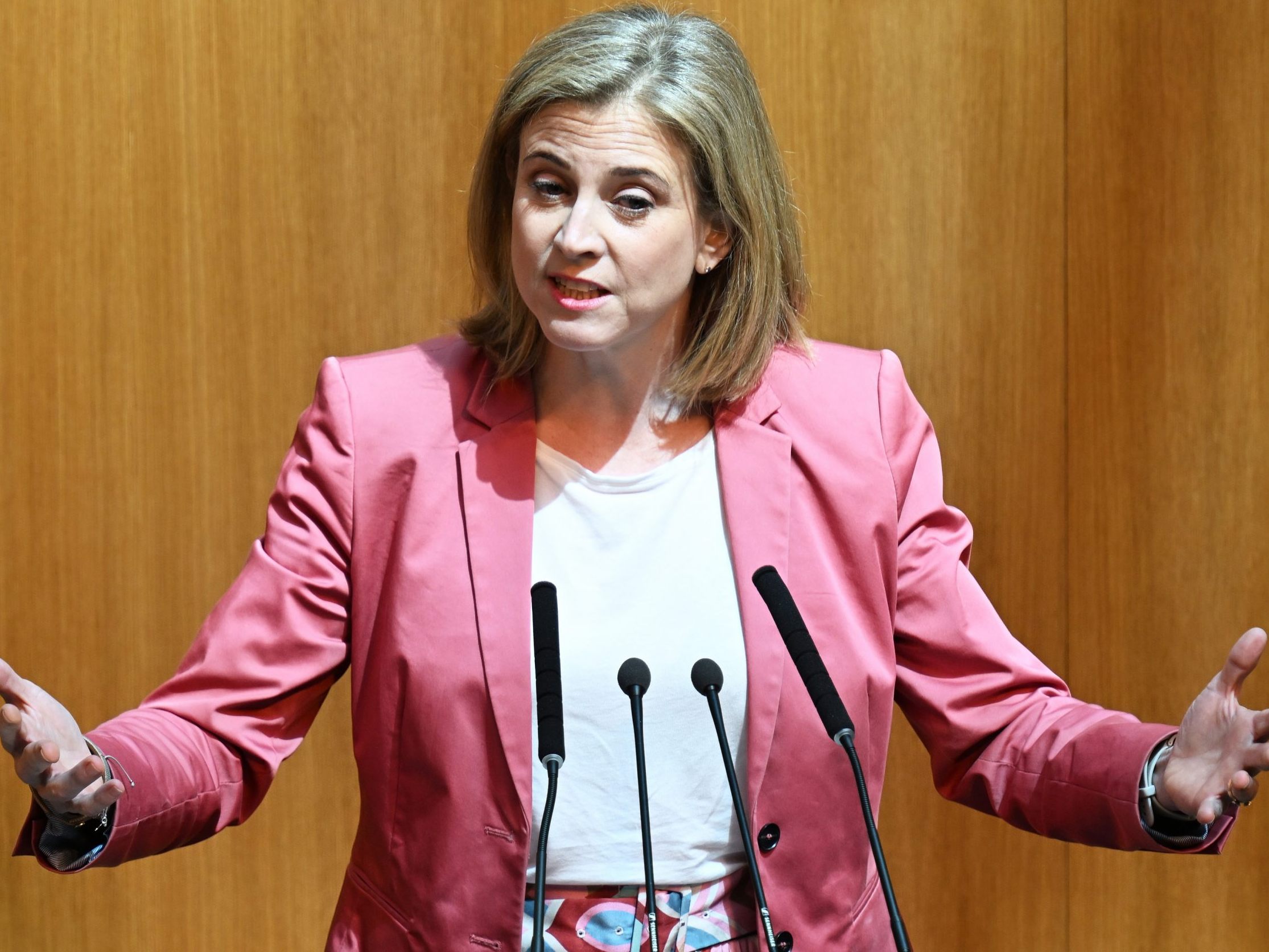 Beate Meinl Reisinger hat eine parteieigene "Reformgruppe Entlastung" gestartet.