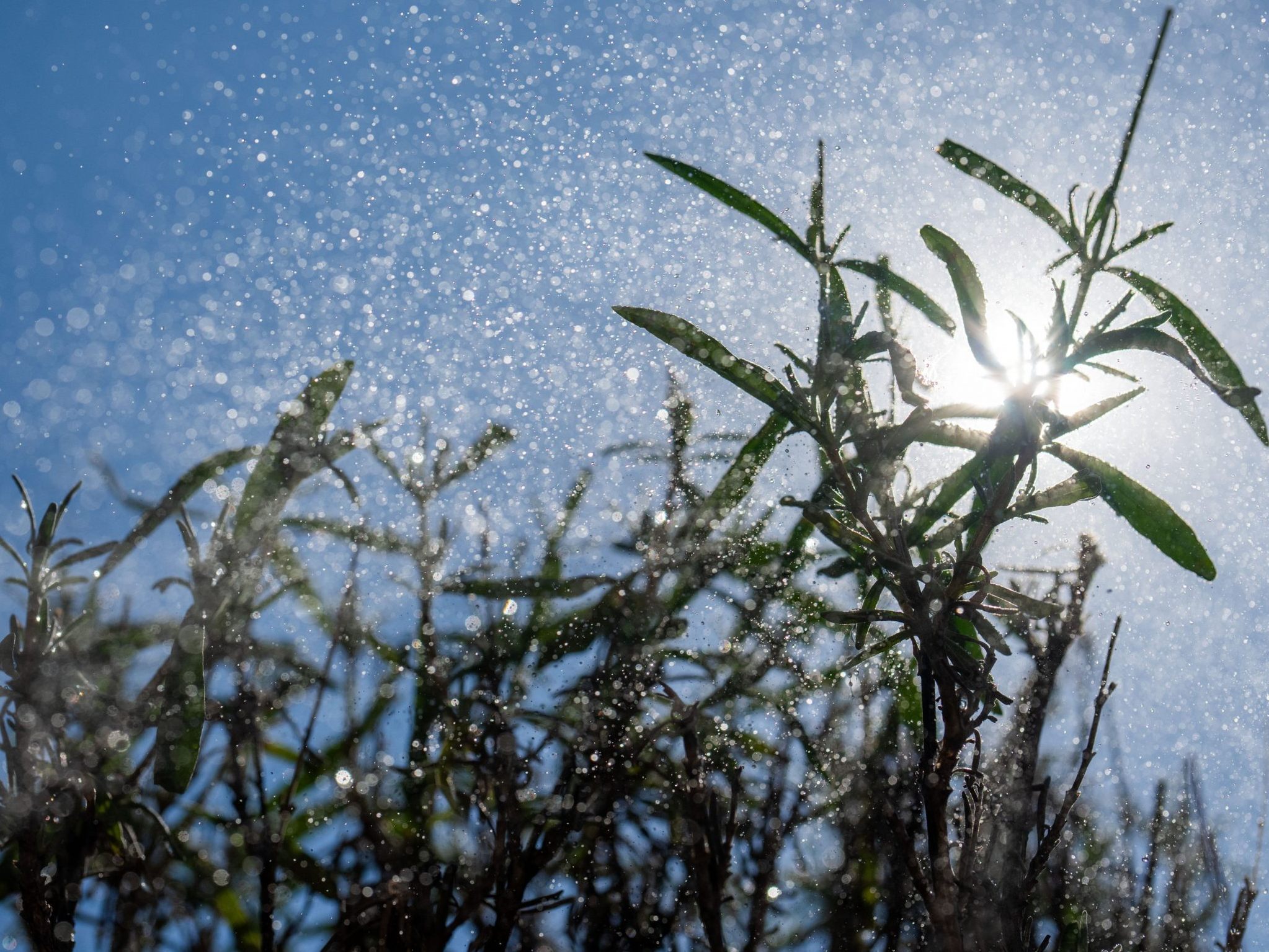 Am Wochenende stellt sich das Wetter von Westen her langsam um.