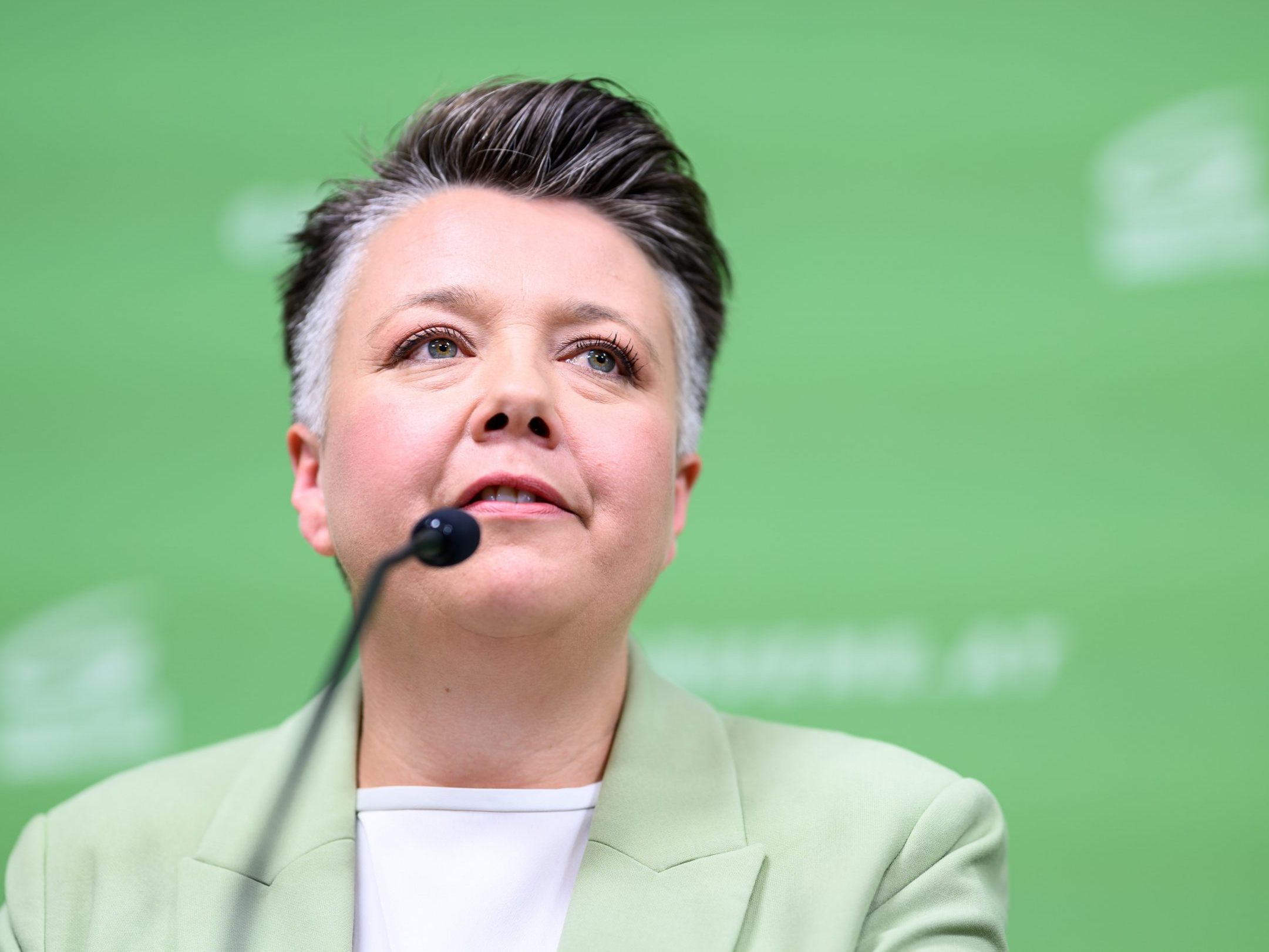 Die Grünen präsentierten ihre geplanten Wahlkampf-Touren. Die Grünen präsentierten ihre geplanten Wahlkampf-Touren.