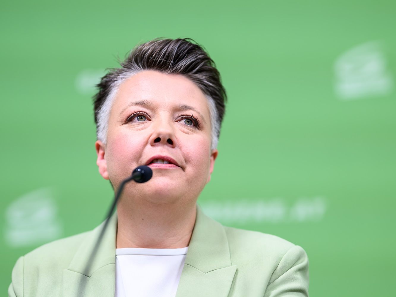 "Wir haben bewiesen, dass wir regieren können", so die Grünen-Generalsekretärin vor der Nationalratswahl.