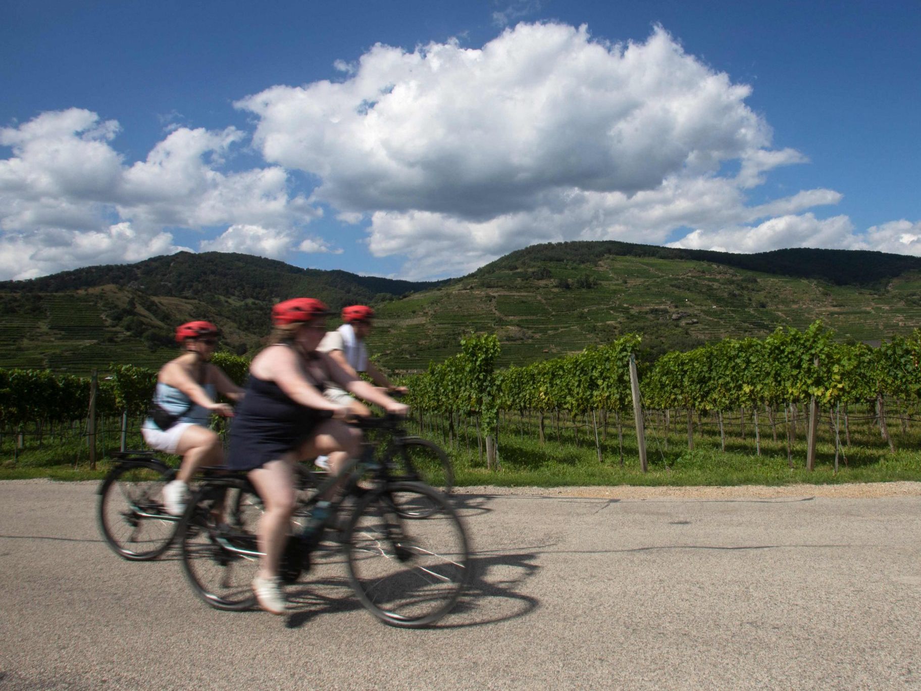Radfahrer in der Wachau müssen auf einen Shuttlebus ausweichen. Radfahrer in der Wachau müssen auf einen Shuttlebus ausweichen.