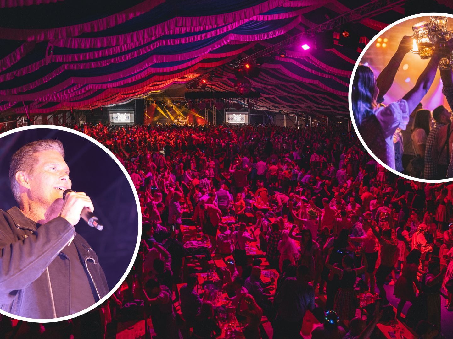 David Hasselhoff wird die Brunner Wiesn 2024 eröffnen. David Hasselhoff wird die Brunner Wiesn 2024 eröffnen.