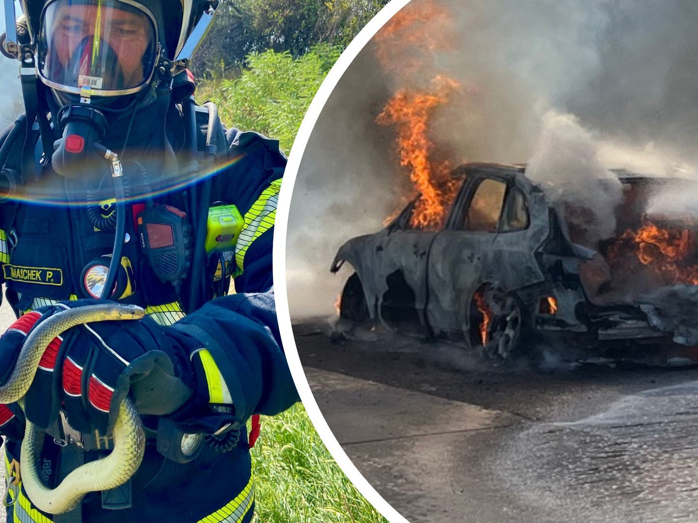 Der Brand wurde gelöscht und die Schlange in Sicherheit gebracht. Der Brand wurde gelöscht und die Schlange in Sicherheit gebracht.