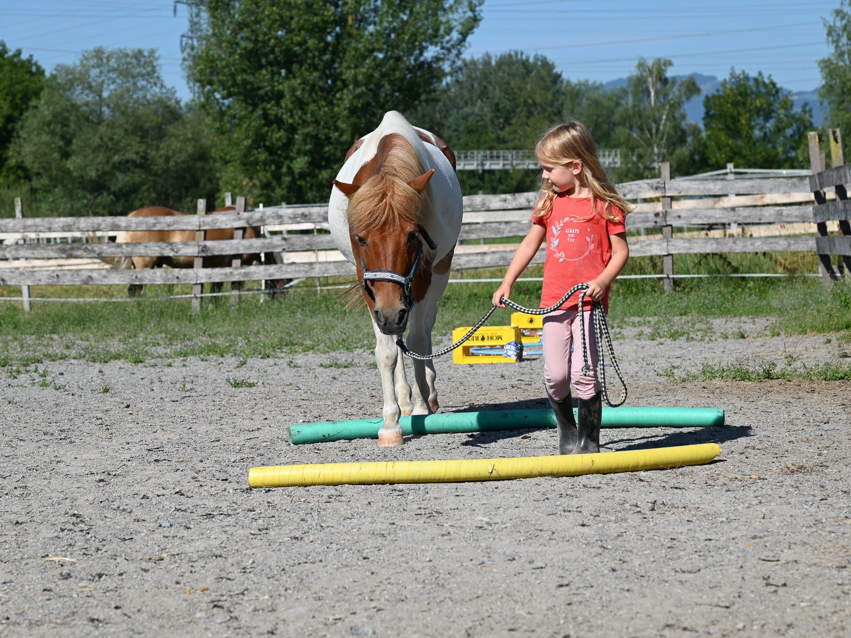 Hoch im Trend liegt bei den Kindern die Erlebnisreitwoche der HRV Hubertus in Lustenau. Hoch im Trend liegt bei den Kindern die Erlebnisreitwoche der HRV Hubertus in Lustenau.