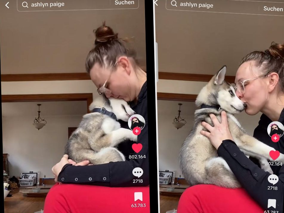 Die Besitzerin beginnt, wie ein Wolf zu heulen, und ihr Husky schaut sie neugierig an. Die Besitzerin beginnt, wie ein Wolf zu heulen, und ihr Husky schaut sie neugierig an.