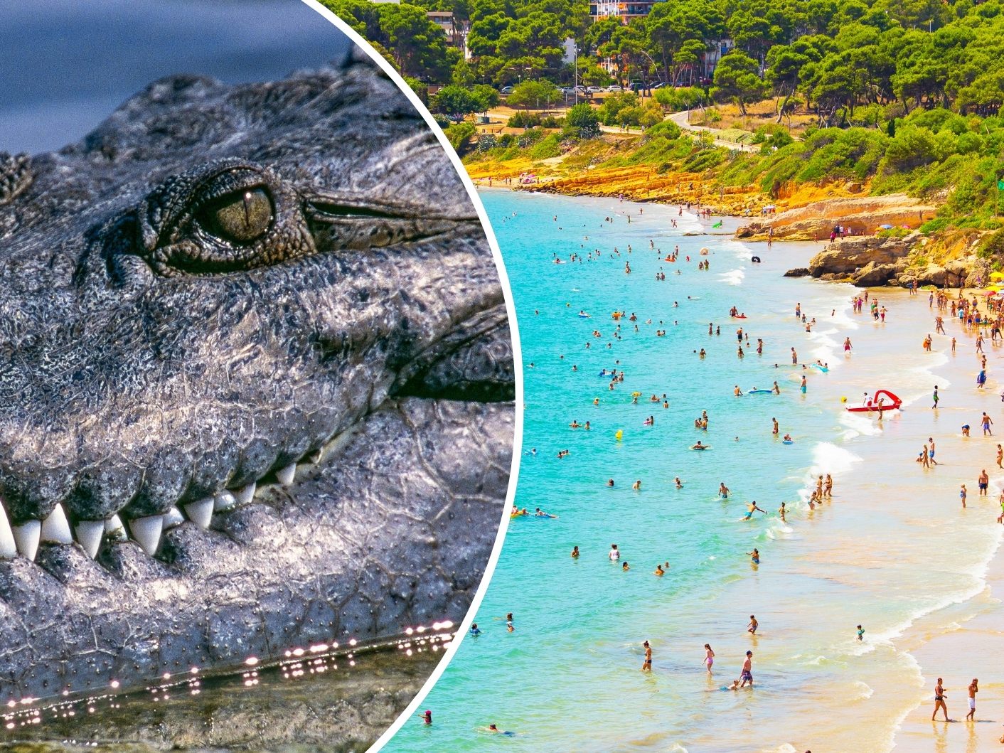Eine mögliche Krokodil-Sichtung sorgte an einem spanischen Strand für Aufregung. (Symbolbild) Eine mögliche Krokodil-Sichtung sorgte an einem spanischen Strand für Aufregung. (Symbolbild)