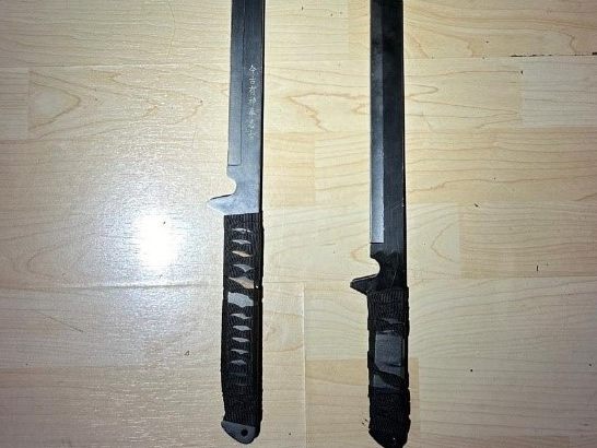 Die beiden Freunde wurden mit Macheten mit dem Umbringen bedroht, sollten sie sich in den Beziehungsstreit in Wien-Leopoldstadt einmischen.